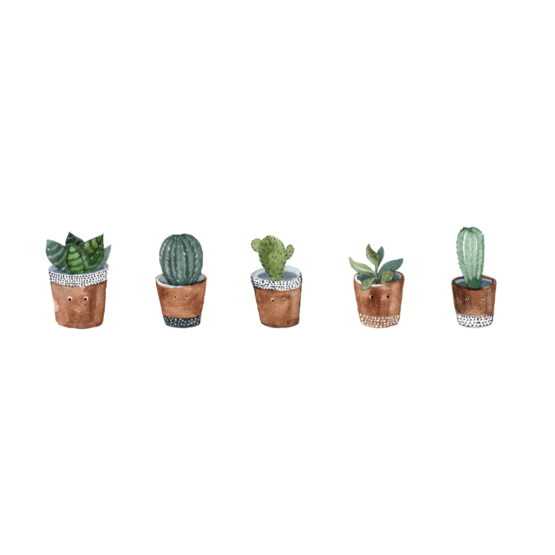 Happy Lil Succulents